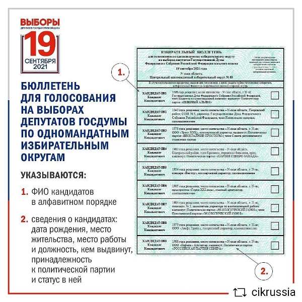 Как будет выглядеть бюллетень